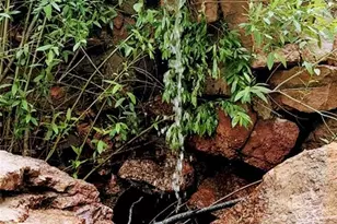 21691 Co Rd 67, Penrose, CO 81240 - Photo 31