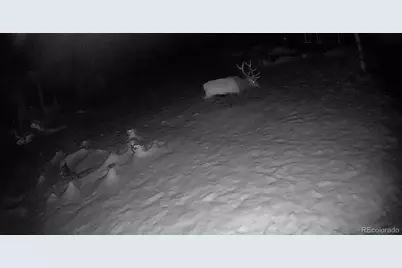 21691 County Road 67, Penrose, CO 81240 - Photo 35