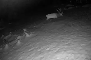 21691 Co Rd 67, Penrose, CO 81240 - Photo 35