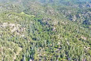 21691 Co Rd 67, Penrose, CO 81240 - Photo 39