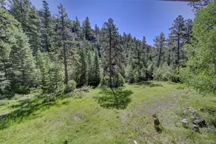 21691 Co Rd 67, Penrose, CO 81240 - Photo 27