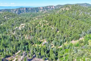 21691 Co Rd 67, Penrose, CO 81240 - Photo 43