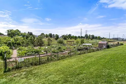 1903 Eaton Street, Lakewood, CO 80214 - Photo 79