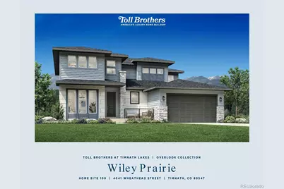 4041 Wheathead Street, Timnath, CO 80547 - Photo 3