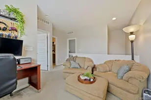 10064 Belvedere Cir, Lone Tree, CO 80124 - Photo 21