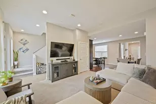 10064 Belvedere Cir, Lone Tree, CO 80124 - Photo 9