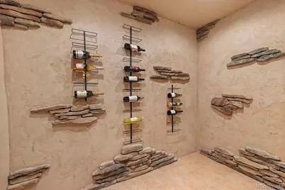 7532 Lakecliff Way, Parker, CO 80134 - Photo 29