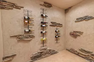 7532 Lakecliff Way, Parker, CO 80134 - Photo 29