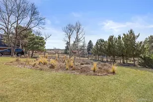 7532 Lakecliff Way, Parker, CO 80134 - Photo 45