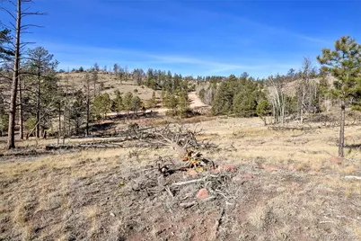 292 Chateau West Drive, Florissant, CO 80816 - Photo 7