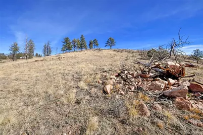 292 Chateau West Drive, Florissant, CO 80816 - Photo 13