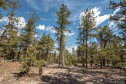 75 Whip Way, Hartsel, CO 80449 - Photo 5