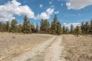 75 Whip Way, Hartsel, CO 80449 - Photo 13