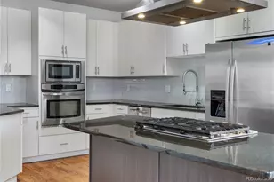 2047 N Race St, Denver, CO 80205 - Photo 13