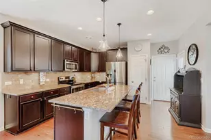 3672 Champagne Ave, Castle Rock, CO 80109 - Photo 11