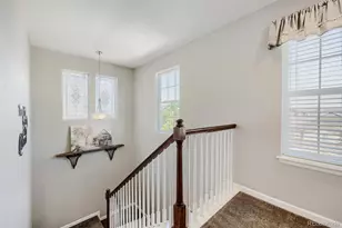 3672 Champagne Ave, Castle Rock, CO 80109 - Photo 13