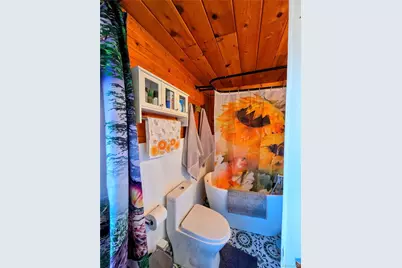 163 Ward Street, Bailey, CO 80421 - Photo 15