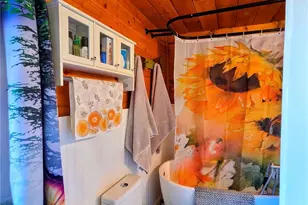 163 Ward St, Bailey, CO 80421 - Photo 15