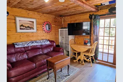 163 Ward Street, Bailey, CO 80421 - Photo 13