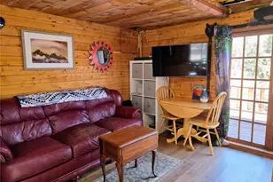 163 Ward St, Bailey, CO 80421 - Photo 13