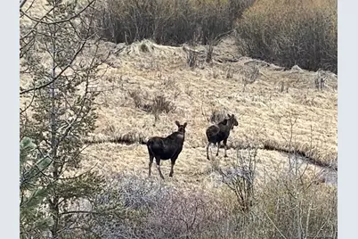 163 Ward Street, Bailey, CO 80421 - Photo 27
