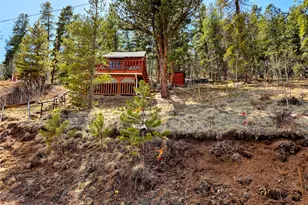 163 Ward St, Bailey, CO 80421 - Photo 21