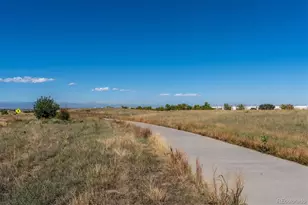 3477 Florence Way, Denver, CO 80238 - Photo 41