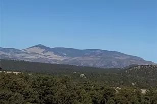 474 Deer Run Dr, Cotopaxi, CO 81223 - Photo 29