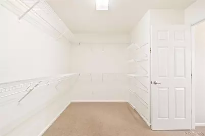 4028 Eagle Tail Lane, Castle Rock, CO 80104 - Photo 27