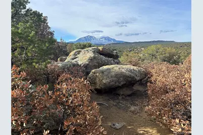 Lot 142A Silver Spurs Ranch, Walsenburg, CO 81089 - Photo 9