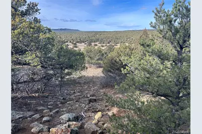 Lot 142A Silver Spurs Ranch, Walsenburg, CO 81089 - Photo 17