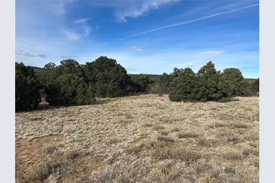 Lot 142A Silver Spurs Ranch, Walsenburg, CO 81089 - Photo 21