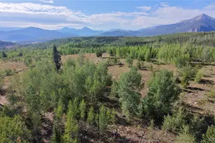 70 Black Diamond Trail, Silverthorne, CO 80498 - Photo 5