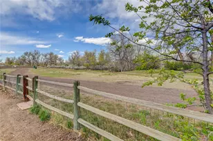8396 Wheatgrass Cir, Parker, CO 80134 - Photo 43