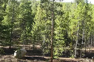 39 Glory Hole Rd, Idaho Springs, CO 80452 - Photo 1