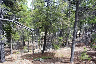 435 Aspen Road, Black Hawk, CO 80422 - Photo 35