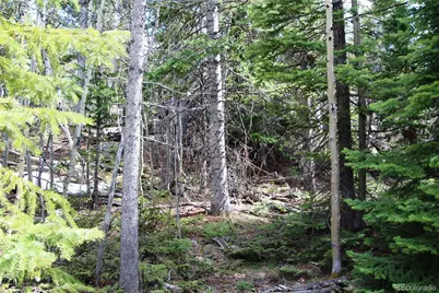 435 Aspen Road, Black Hawk, CO 80422 - Photo 3