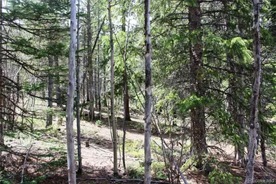 435 Aspen Road, Black Hawk, CO 80422 - Photo 17