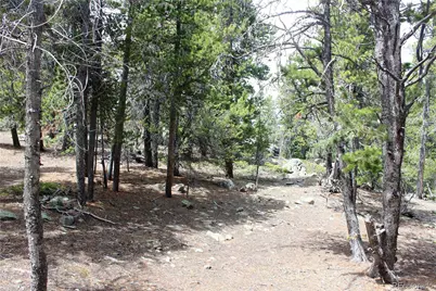 435 Aspen Road, Black Hawk, CO 80422 - Photo 33