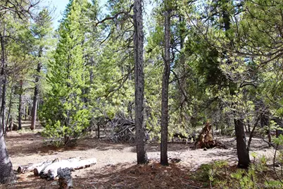 435 Aspen Road, Black Hawk, CO 80422 - Photo 5