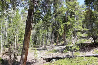 435 Aspen Road, Black Hawk, CO 80422 - Photo 19