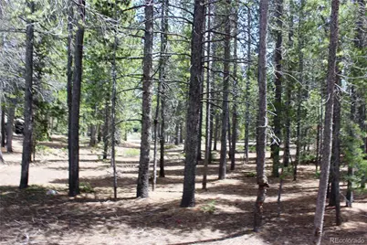 435 Aspen Road, Black Hawk, CO 80422 - Photo 29