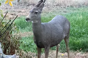 15000 Co Rd 8, Fort Lupton, CO 80621 - Photo 45