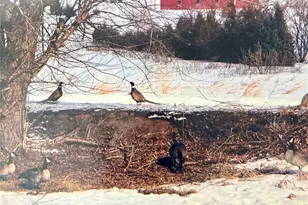 15000 Co Rd 8, Fort Lupton, CO 80621 - Photo 43