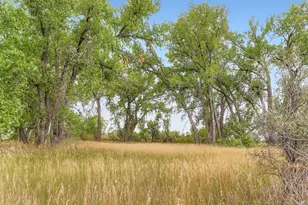 15000 Co Rd 8, Fort Lupton, CO 80621 - Photo 31