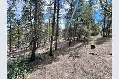 66 Ponderosa Drive, Leadville, CO 80461 - Photo 3