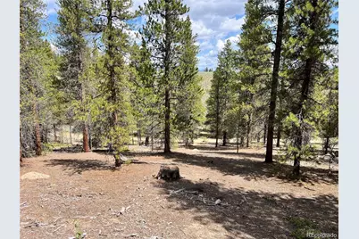 66 Ponderosa Drive, Leadville, CO 80461 - Photo 13