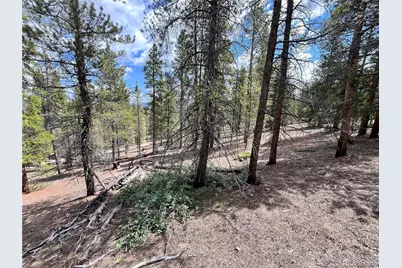 66 Ponderosa Drive, Leadville, CO 80461 - Photo 11