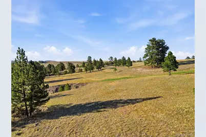 47682 Knibbe Court, Parker, CO 80138 - Photo 25