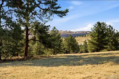 47682 Knibbe Court, Parker, CO 80138 - Photo 41